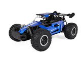 Off-Road Electric RC Car